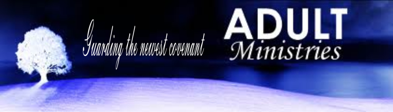 Adult Ministry Groups